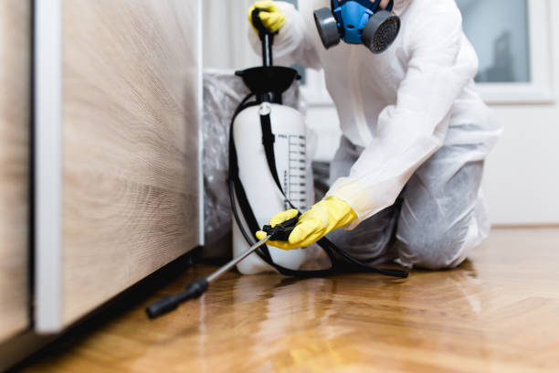 Best Best Pest Control Companies  in Kansas City, KS