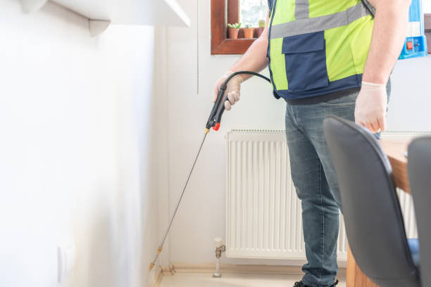 Best Flea Control Services  in Kansas City, KS