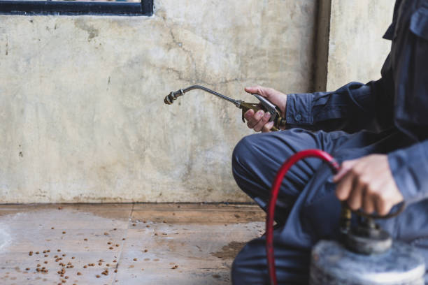 Best Emergency Pest Control  in Kansas City, KS