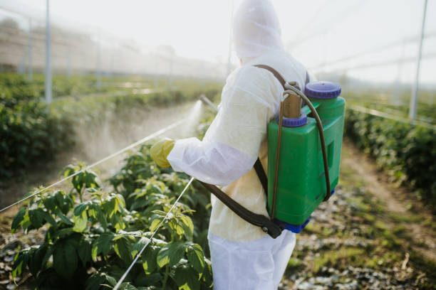 Best Best Pest Control Companies  in Kansas City, KS